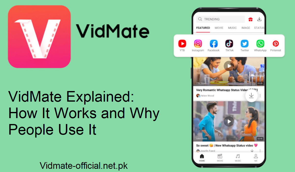 VidMate Guide